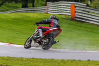PJ-Motorsport-Photography-2020;anglesey;brands-hatch;cadwell-park;croft;donington-park;enduro-digital-images;event-digital-images;eventdigitalimages;mallory;no-limits;oulton-park;peter-wileman-photography;racing-digital-images;silverstone;snetterton;trackday-digital-images;trackday-photos;vmcc-banbury-run;welsh-2-day-enduro